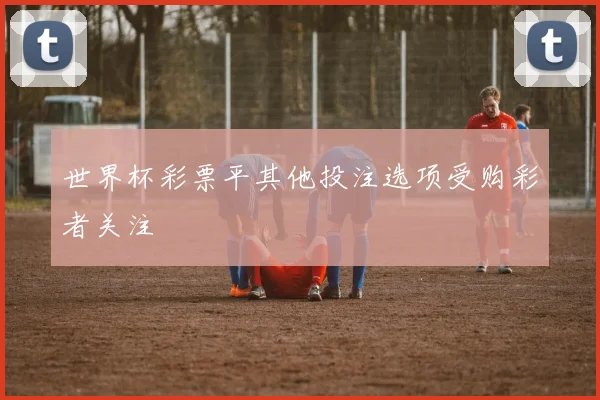 世界杯彩票平其他投注选项受购彩者关注