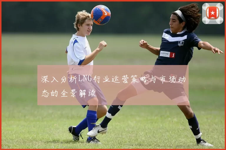 深入分析LNG行业运营策略与市场动态的全景解读