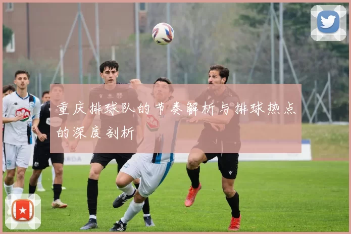 重庆排球队的节奏解析与排球热点的深度剖析