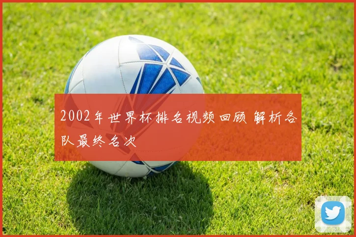 2002年世界杯排名视频回顾 解析各队最终名次