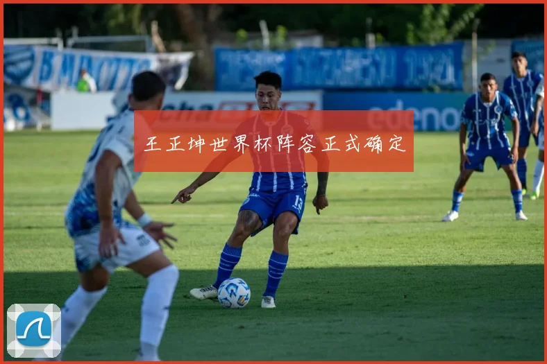 王正坤世界杯阵容正式确定