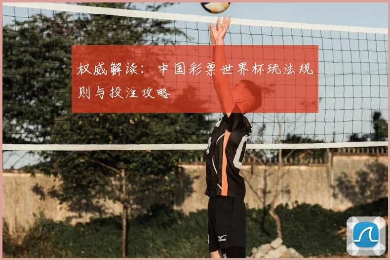 权威解读:中国彩票世界杯玩法规则与投注攻略