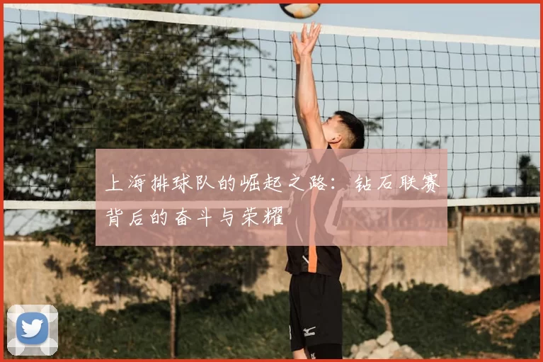 上海排球队的崛起之路：钻石联赛背后的奋斗与荣耀