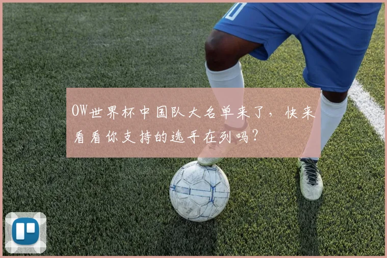 OW世界杯中国队大名单来了，快来看看你支持的选手在列吗？