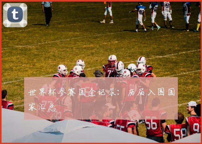 世界杯参赛国全记录:历届入围国家汇总