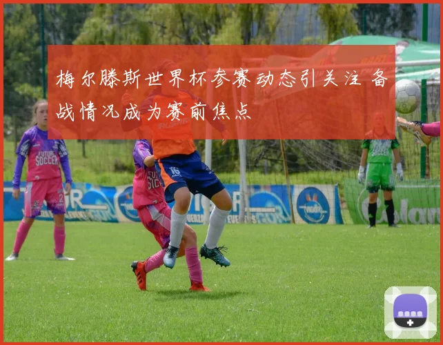 梅尔滕斯世界杯参赛动态引关注 备战情况成为赛前焦点