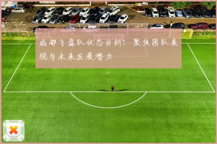 成都飞盘队状态分析：聚焦团队表现与未来发展潜力