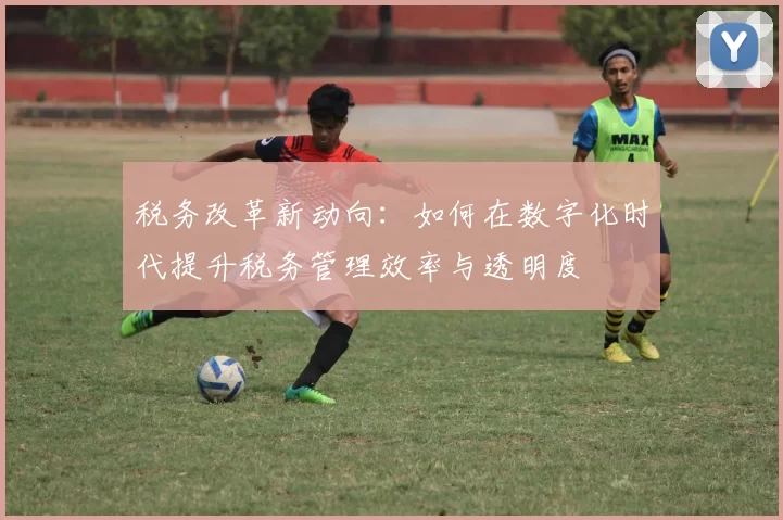 税务改革新动向：如何在数字化时代提升税务管理效率与透明度