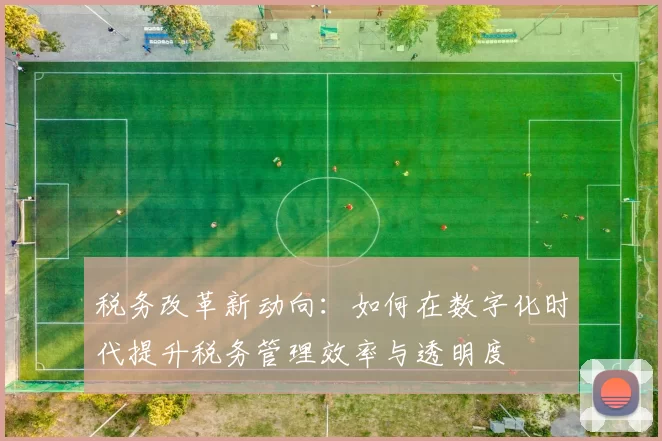 税务改革新动向：如何在数字化时代提升税务管理效率与透明度