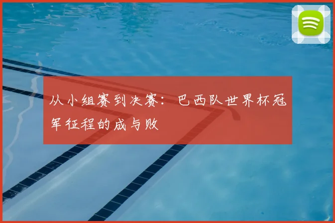 从小组赛到决赛:巴西队世界杯冠军征程的成与败