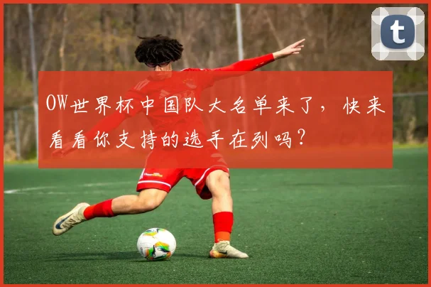 OW世界杯中国队大名单来了,快来看看你支持的选手在列吗?