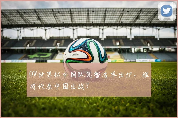OW世界杯中国队完整名单出炉,谁将代表中国出战?