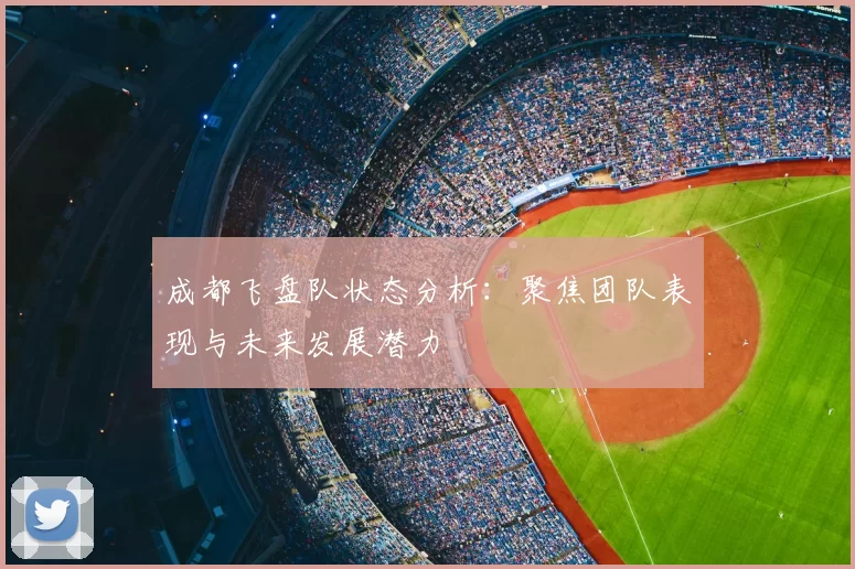 成都飞盘队状态分析：聚焦团队表现与未来发展潜力