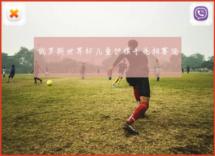 俄罗斯世界杯儿童护旗手亮相赛场