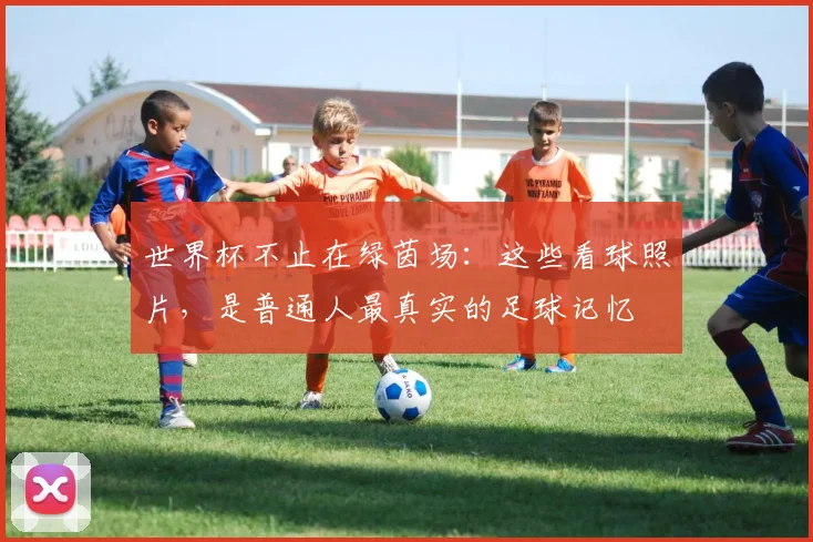 世界杯不止在绿茵场:这些看球照片,是普通人最真实的足球记忆